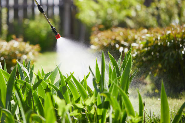 24/7 Emergency Ant Control experts in East Moline, IL