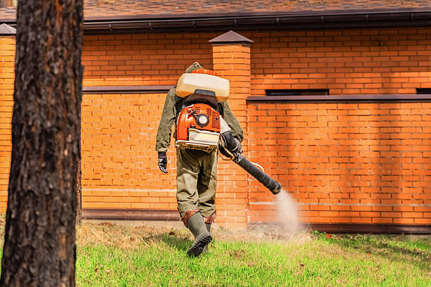 Trusted Rodent Control service in East Moline, IL - Nex Pest Control